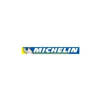 Dealer Packs stickers Factory Effex Michelin (x5)
