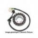 Stator ELECTROSPORT BMW S1000R