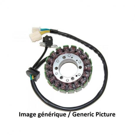 Stator ELECTROSPORT BMW S1000R