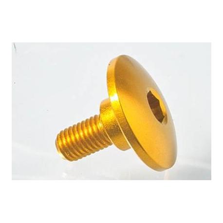 Vis spéciale Ergal 7075 LIGHTECH M7 X 17,5 type 964 noir